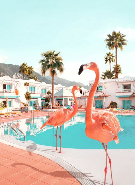 Collectors and Art Lovers. I created an exclusive collection of Signed Limited Editions for you. Florida, was inspired by the bride-pink flamingos, often spotted in murals and decorating the pool areas in many of Miami’s Art-Deco hotels.This giclée print is from a limited edition of 80, the artwork comes hand-signed and numbered. Printed on Hahnemühle Photo Rag Satin 310®. Available in two different sizes. Small: 21.6" x 27.5" Inch (55 x 70 cm) Large: 33.5" x 43.3" Inch (85 x 110 cm) Both sizes Paul Fuentes, Flamingo, Throw Blanket, Miami, Art Deco, Florida, Pool, Art