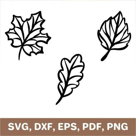 This is a digital item.The ZIP archive contains SVG, DXF and PDF files.Compatible with Cricut and Silhouette.Measurements depend on paper size.All templates have been tested for quality.Please contact me if you have any problems with your order. Silhouette Leaves, Leaf Svg, Leaf Cricut Template, Fall Leaves Outline Printable, Fall Leaves Silhouette, Fall Svg, Autumn Svg, Fall Leaves Svg Free, Fall Leaves Svg