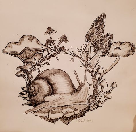 Pencil sketch of Mushroom wreath around snail. Drawn by Kelcie Holly Snail Drawings, Snail Sketch, Mushroom Wreath Drawing, Mushroom And Snail Drawing, Mushroom With Snail, Snail Drawing, Snail Wood Burning, Snail Ink Drawing, Creepy Snail Drawing