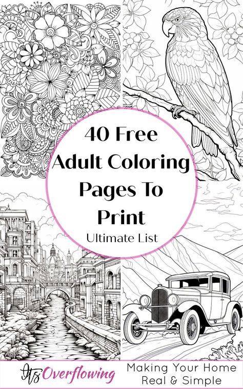 40 Free Adult Coloring Pages with Printable PDF Free Adult Coloring Printables, Garden Coloring Pages, Adult Coloring Books Printables, Adult Colouring Printables, Abstract Coloring Pages, Adult Coloring Designs, Pattern Coloring Pages, Detailed Coloring Pages, Free Adult Coloring Pages