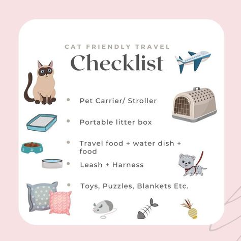 cat travel list Traveling Checklist, Cat Travel, Travel Checklist, Pet Carriers, Cat Friendly, Litter Box, Travel Food, Road Trips, Spring Break