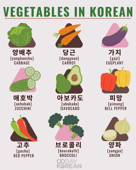 Vegetables are indeed important. They provide a lot of health benefits! No wonder Koreans love eating vegetables every day. Learn how to say vegetables in Korean here: https://www.90daykorean.com/fruits-nuts-vegetables-in-korean/ #learnkorean #koreanvegetables #90daykorean #koreanwords #koreanvocabulary How To Say No In Korean, Korean Important Words, Foods In Korean, Food In Korean Language, Fruit In Korean, Fruits In Korean, No In Korean, Vegetables In Korean, Korean Food Names