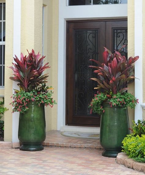 Plant Pot Front Door, Front Door The Home Depot, Aesthetic Flower Pot, Planters Front Door, Plant Garden Design, Potted Plant Garden, Tall Planters Front Door, Summer Pots, Tall Potted Plants