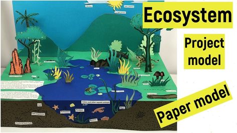 3d Project Ideas, Diy Ecosystem, Model For Science Exhibition, Ecosystem Project, Ecosystems Projects, Science Exhibition, Hippie Painting, Paper Model, Color Pencil Drawing