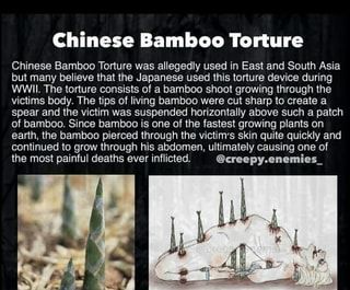 Torture Methods, Medieval Torture, Bamboo Seeds, Bamboo Shoot, Growing Bamboo, Chinese Bamboo, Spooky Places, Hollywood Undead, Bamboo Shoots