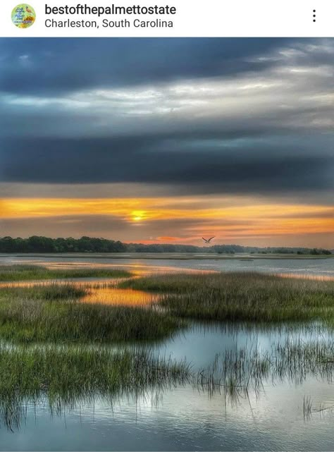 Ocean Scenes Photography, Marsh Landscape Photography, Coastal Landscape Photography, Landscape Images Photography, Seascape Photos, Marsh Photos, Beach Landscape Photography, Marsh Photography, Landscape Reference Photos