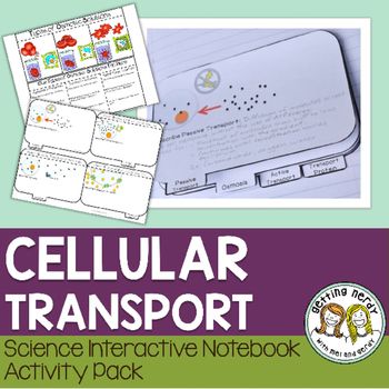 Active Transport, Passive Transport, Absent Students, Life Science Activities, Biology Resources, Interactive Notebook Activities, Secondary Science, Interactive Science, Interactive Science Notebook