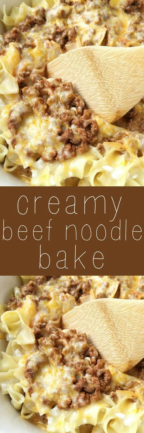 Tender egg noodles, melty cheese, and a creamy tomato ground beef mixture make for one amazing, and family-friendly dinner! The entire family will love this simple and easy creamy beef noodle bake. Beef Noodle Bake, Beef Egg Noodles, Noodle Bake, Diy Easy Recipes, Pasta Primavera, Melty Cheese, Beef And Noodles, Egg Noodles, Beef Dishes