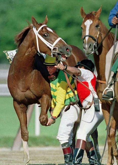 Chris Antley and Charismatic. His actions,shown here, saved Charismatic from further injury. Horse Jockey, English Thoroughbred, Charlie Horse Cause, Burghley Horse Trials, Champion The Wonder Horse, Derby Winners, Belmont Stakes, Beautiful Horse Pictures, Stop Animal Cruelty