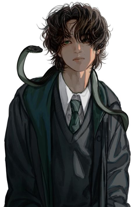 Slytherin Harry Potter Fanart, Harry Potter Fanart, Dark Harry, Harry Potter Oc, Gay Harry Potter, Slytherin Harry Potter, Harry Potter Comics, Harry Potter Drawings, Tom Riddle