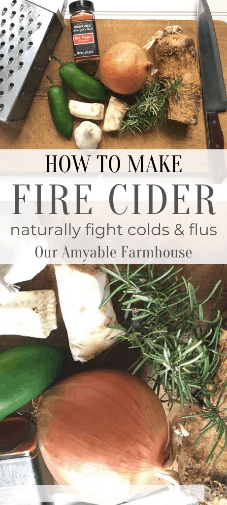 Homemade Antibiotic, Fire Cider Recipe, Fire Cider, Cider Recipe, How To Make Fire, Natural Antibiotics, Cold Home Remedies, Natural Cough Remedies, Cough Remedies