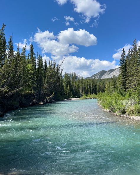 Sometimes you have to disconnect, to reconnect 🌲🥾 Up until yesterday’s Jasper photos, I haven’t really posted on here much the past month and a half, and it’s felt good to be on my phone less and out in the mountains more 🏔️☀️ #banffnationalpark #mybanff #banff #kananaskiscountry #kcountry #kananaskis #alberta #explorealberta #alberta #albertaparks #parkscanada #rockies #rockymountains #mountains Disconnect To Reconnect, Parks Canada, Banff National Park, My Phone, In The Mountains, Rocky Mountains, Outdoors Adventure, The Mountain, Rocky