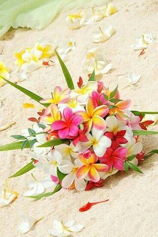 Fiori Frangipani, Frangipani Wedding, Tropical Wedding Flowers, Beach Wedding Flowers, Plumeria Flowers, A Bouquet Of Flowers, Hawaiian Flowers, Bouquet Of Flowers, Tropical Wedding