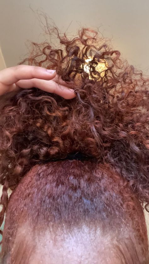 Reddish Brown Natural Hair Black Women, Honey Copper Brown Hair, Honey Brown And Red Hair, Copper Brown Natural Hair, Dyed Natural Hair Highlights, Auburn 4c Hair, Hair Dye Ideas Black Women Natural Hair, Dyed Curly Hair Black Women, Copper Brown Hair Dye