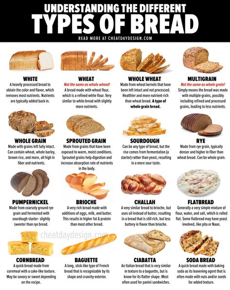 The 16 Different Types Of Bread Around The World | Daily Infographic Types Of Breads, Bran Bread, Bread Types, Different Types Of Bread, Culinary Cooking, Pizza Bagels, Culinary Techniques, Food Infographic, Types Of Bread