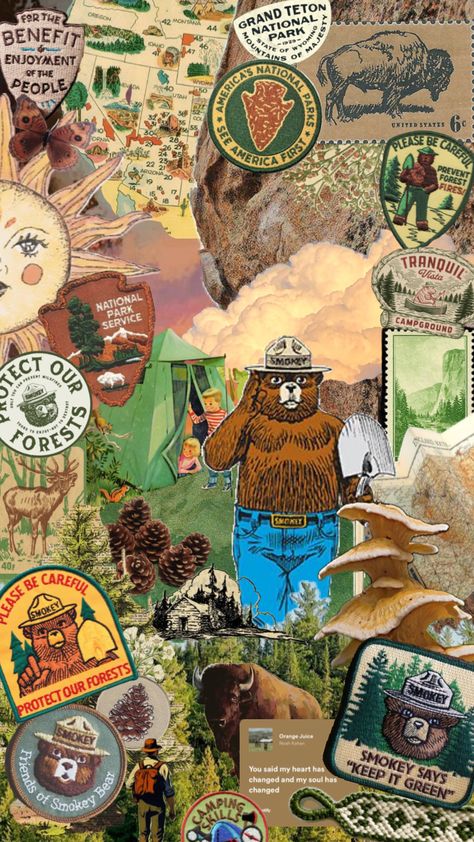 Bear Phone Wallpaper, The Bear Wallpaper, Earth Grunge, Smokey The Bear, Smokey Bear, Smokey The Bears, Camping Aesthetic, Bob The Builder, Matchbox Art