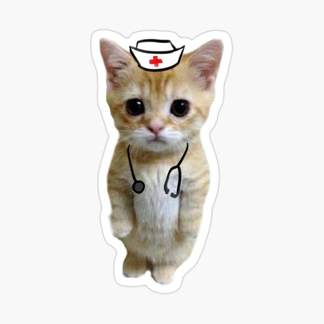 Nursing Doodles, Nurses Stickers, Med Stickers, Nursing Stickers, Nurse Cat, Medical Stickers, Medical Wallpaper, Nurse Stickers, Professional Nurse