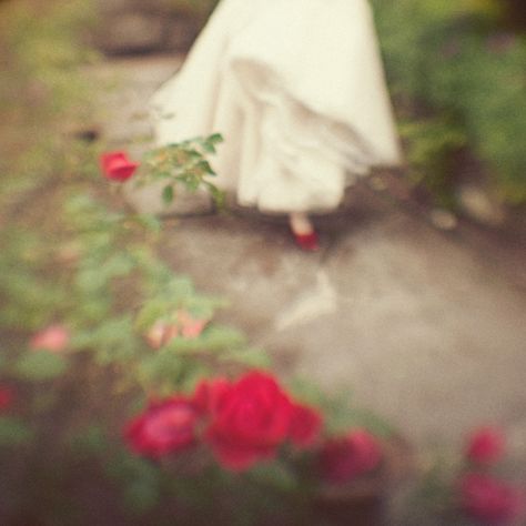 long skirts and garden paths! Fantasy Magic, Colorful Roses, Marriage Quotes, Love Photos, Event Styling, Rose Garden, Writing Inspiration, Secret Garden, Red Flowers