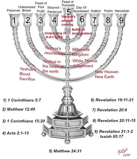 The Messianic Prophetic Branches of the Hanukkah Menorah and the first Seven are the appointed Feasts of Elohim. The first four have been fulfilled. Jewish Beliefs, Jewish Feasts, Messianic Judaism, Messianic Jewish, Menorah Candles, Revelation Bible, Bible Study Topics, Bible Study Help, Fotografi Digital