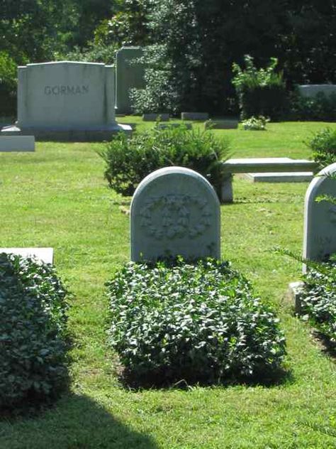 Blanketing Graves - an old concept where family members planted ivy or flowers to have perpetual growth on a loved ones grave.  I think that this is a lovely custom. Gravesite Decorations, Halloween Outside, Red Roses Wallpaper, Grave Flowers, Pet Cemetery, Cemetery Decorations, Grave Decorations, Memorial Flowers, Cemetery Flowers