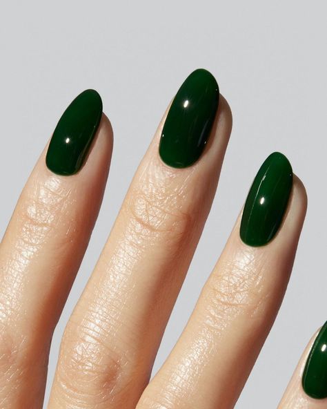 @iamgelcare on Instagram: “EMERALD G-065 — A rich but jelly green. Glistens like an emerald.” Emerald Green Jelly Nails, Dark Green Jelly Nails, Emerald Green Nails With Gold, Green Jelly Nails, Deep Green Nails, Gel Nails Green, Color Palette Emerald Green, Lola Core, Nail Color Palette