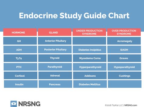 Endocrine System Study Guide With Answers Q&A | NURSING.com Endocrine System Study, Endocrine System Hormones, Endocrine System Nursing, Nursing Essentials, Medical Mnemonics, Nursing Mnemonics, Endocrine Disorders, Pharmacy School, Medical Surgical Nursing