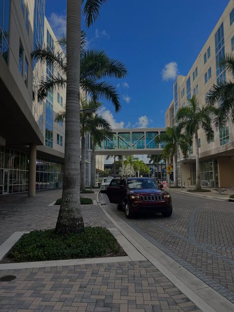 University Of Miami Campus, Campus Aesthetic, Colleges In Florida, Florida International University, College Aesthetic, International University, Dream College, Dream School, University Life