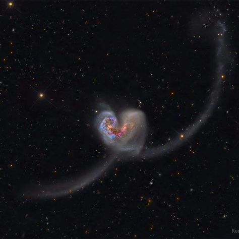 The Heart Shaped Antennae Galaxies Image Credit & Copyright: Kent E. Biggs Explanation: Are these two galaxies really attracted to each other? Yes, gravitationally, and the result appears as an enormous iconic heart — at least for now. Pictured is the pair of galaxies cataloged as NGC 4038 and NGC 4039,known as the Antennae Galaxies. Because they are only 60 million light years away, close by intergalactic standards, the pair is one of the best studied interacting galaxies on the night sky.... Real Galaxy Pictures, Other Galaxies, Galaxy Images, Galaxy Pictures, Light Year, The Night Sky, Night Sky, Night Skies, Heart Shapes