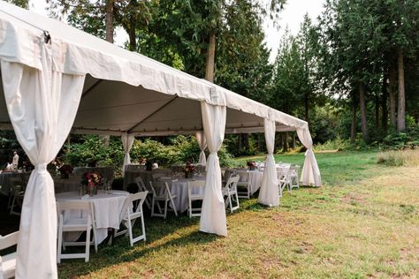 Misty Clover Farm Wedding | Olympic Peninsula's Stunning Forest Grassy Meadow, Woodsy Wedding, Farm Wedding Venue, Into The Forest, Cedar Trees, Olympic Peninsula, Breathtaking Wedding, Olympic National Park, Forest Wedding