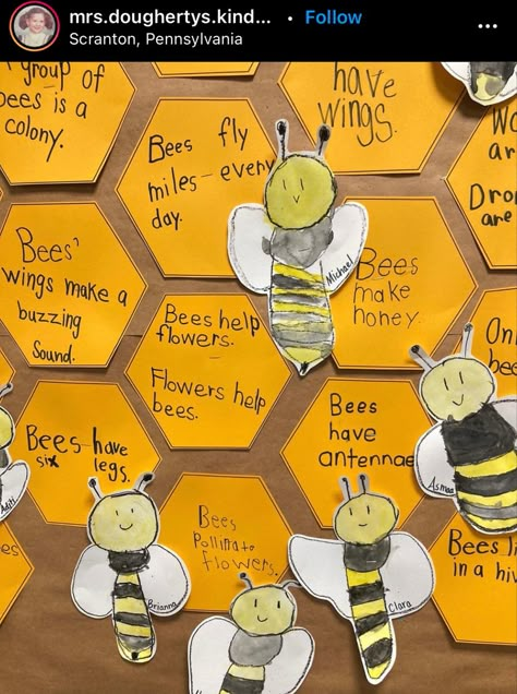 Honey Bee Life Cycle, Name Activities Preschool, World Bee Day, Bee Life Cycle, Child Development Activities, Bee Crafts For Kids, Insects Preschool, Insect Unit, All About Bees