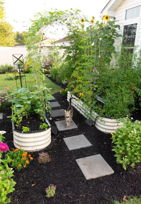 Raised Garden Beds Along Fence Backyards, Oval Raised Garden Bed, Backyard Landscaping With Garden Beds, Vego Garden Layout Ideas, Planter Box Gardens, Garden Without Raised Beds, Garden Bed Shade Ideas, Raised Garden Bed Walkway, Turning Yard Into Garden