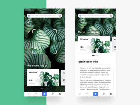 Plant Identification App, Plant App, Plant Identification, Small Leaf, Saint Charles, Design Typography, San Rafael, Mobile Ui, Mobile Apps