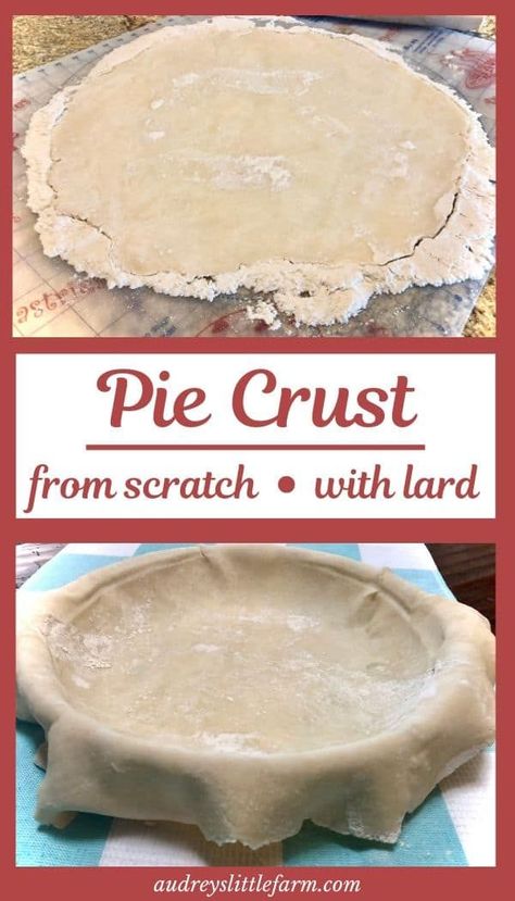 Butter Pie Crust Recipe, Lard Pie Crust, No Fail Pie Crust, Best Pie Crust Recipe, Rolled Sugar Cookie Recipe, Butter Pie Crust, Pie Crust From Scratch, Flaky Pie Crust Recipe, Pie Crust Recipe Easy