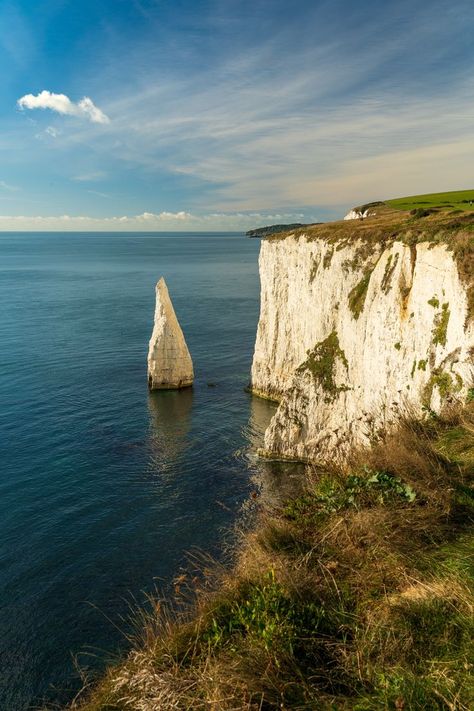 From theme parks and fun days out to peaceful nature reserves and historic castles, these are some of the best things to do near Bournemouth | #bournemouth #dorset #england Bournemouth England, Bournemouth Beach, Corfe Castle, Peaceful Nature, Dorset England, Harry Potter Pictures, Seaside Towns, Adventure Park, Bournemouth