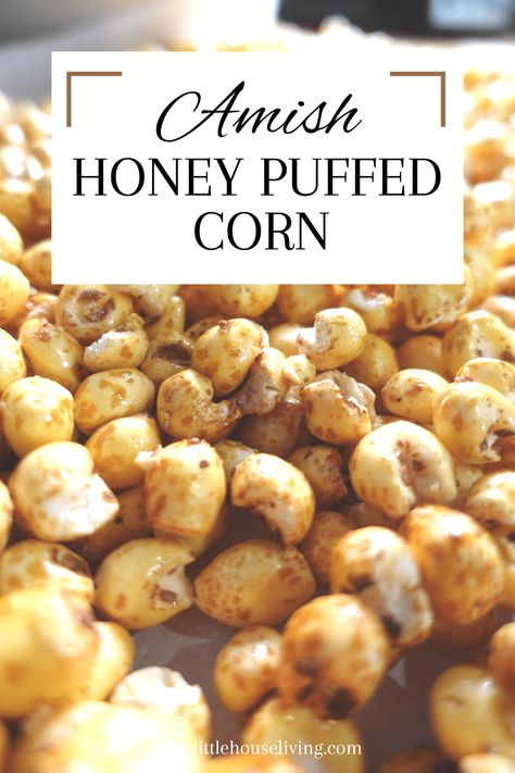 Looking for a simple sweet treat to make for an afternoon snack? This Honey Puffed Corn Recipe only needs 3 ingredients and a little time! Puff Corn Recipes Snacks, Sweet Puffed Corn, Puff Corn Caramel Corn, Microwave Caramel Puff Corn, Cereal Recipes Homemade, Puffed Wheat Cereal, Puffed Corn Recipes, Puffed Corn Carmel Corn Popcorn Recipes, Honey Puffs