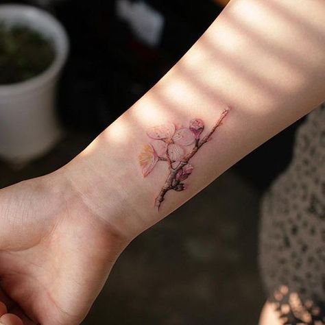 Apricot blossom #tattoo by @tattooistmuha (via @tattoofilter) #littletattoo #smalltattoo #life #love #art #awesome #girls #fashion #style #tattoofilter Apricot Tattoo, Apple Blossom Tattoos, Apricot Blossom, Beautiful Flower Tattoos, Small Flower Tattoos, Blossom Tattoo, Sakura Flower, Little Tattoos, Daegu