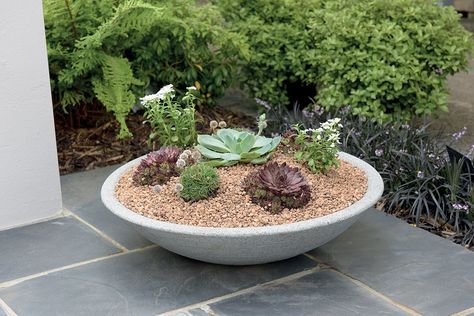 Stewart 5110077 Low Varese Bowl - Alpine Grey: Amazon.co.uk: Garden & Outdoors Bowl Garden, Small Water Features, Bowl Planter, Alpine Plants, Gravel Garden, Patio Planters, Tall Planters, Contemporary Garden, Plastic Planters