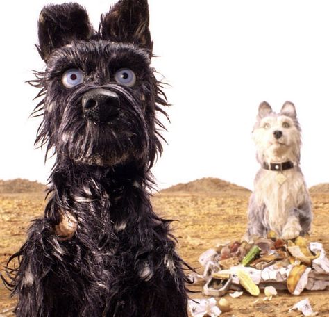 Isle Of Dogs Movie, Kota New York, Oscar Movies, Dog Background, Wes Anderson Movies, Wes Anderson Films, Dog Movies, Isle Of Dogs, Edward Norton