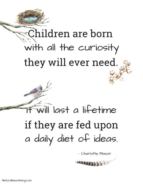 Charlotte Mason Quote, 10 Reasons Why Education is Important, The importance of education and how Education plays a significant role in every person's life, How important education is and the importance of reading #education #charlottemason #reading #quotes Why Education Is Important, Importance Of Education Quotes, Preschool Quotes, Early Childhood Education Quotes, Montessori Quotes, Play Quotes, Homeschool Quotes, Importance Of Reading, Importance Of Education