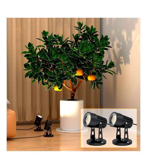 PHLIZON LIGHTS UPLIGHTS LIGHTING SPOTLIGHT Indoor Plants Decor, Led Spot Lights, Spotlight Lamp, Spotlight Lighting, Spot Lights, Plants Decor, Led Spot, Adjustable Lighting, Accent Lighting