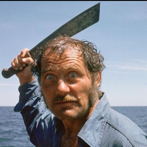 Jaws Characters, Shark Movies, Jaws 1975, Amity Island, Hulk Character, Robert Shaw, Gena Rowlands, Richard Dreyfuss, Jaws Movie