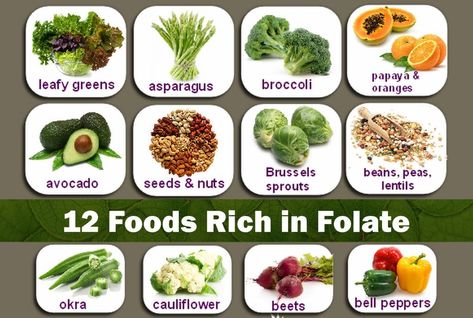 Bite on These Folic Acid Rich Foods To Have Smoother Pregnancy. Read on to know 27 Foods Rich In Folate for Pregnant Women! Folic Acid Foods, Folate Rich Foods, Mthfr C677t, Avocado Seed, Mang Thai, Idee Pasto Sano, Food Source, Folic Acid, Healthy Pregnancy