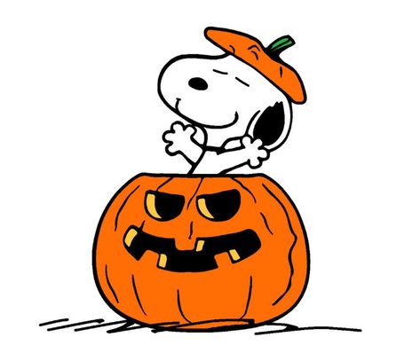 Pumpkin Snoopy, Snoopy Birthday, Halloween Wallpaper Cute, Snoopy Halloween, Snoopy Images, Snoopy Wallpaper, Cute Fall Wallpaper, Snoopy Pictures, Keramik Design