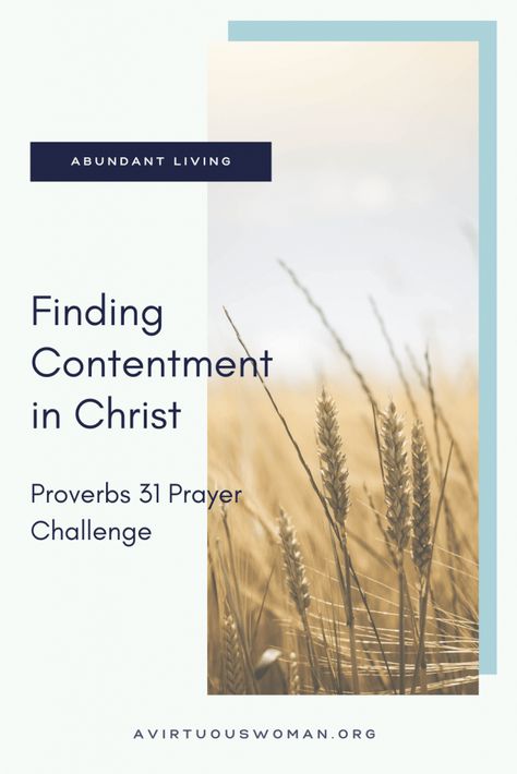 Finding Contentment in Christ | 5 Keys to Being Content Finding Contentment, Girl Bible Study, Being Content, Womens Bible, A Virtuous Woman, Contentment Quotes, Proverbs 31 Ministries, Whatever Is True, Virtuous Woman