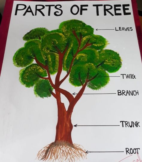 Parts Of A Tree Preschool, Parts Of A Tree, Kids Worksheet, Tree Study, Education Science, Flower Drawing Tutorials, How To Teach Kids, Kids Blouse Designs, Essay Writing Skills