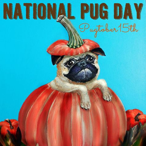 National Pug Day - National and International Pug Day - America, Australia, Italy, Canada, United Kingdom National Pug Day, Dog Images Hd, Puppy Teething, Best Dog Photos, Fu Dog, Pugs And Kisses, Funny Dog Photos, Pug Art, Cute Dog Photos