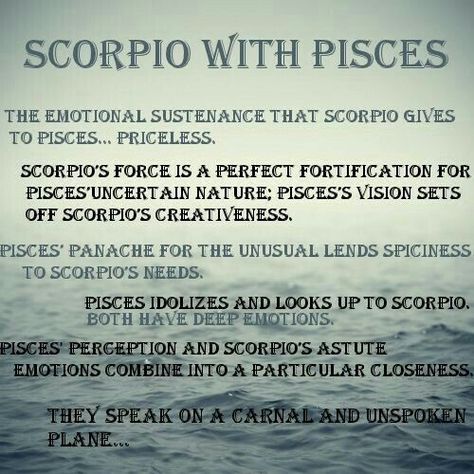 Scorpio And Pisces Relationship, Scorpio And Pisces, Pisces Relationship, Pisces Art, Scorpio Relationships, Zodiac Quotes Scorpio, Pisces Horoscope, Pisces Fish, Pisces And Scorpio