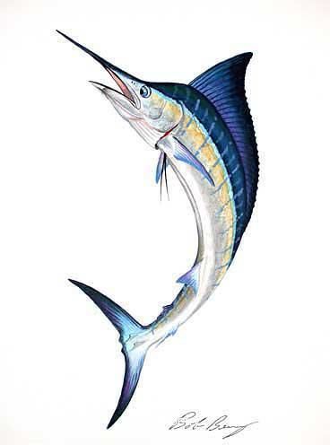 Image result for skeleton drawing of a blue marlin fish Sunrise Art Painting, Fish Posters, Blue Marlin Fish, Fish Paintings, Marlin Fish, Fish Prints, Easy Drawing Ideas, Fish Designs, Blue Marlin