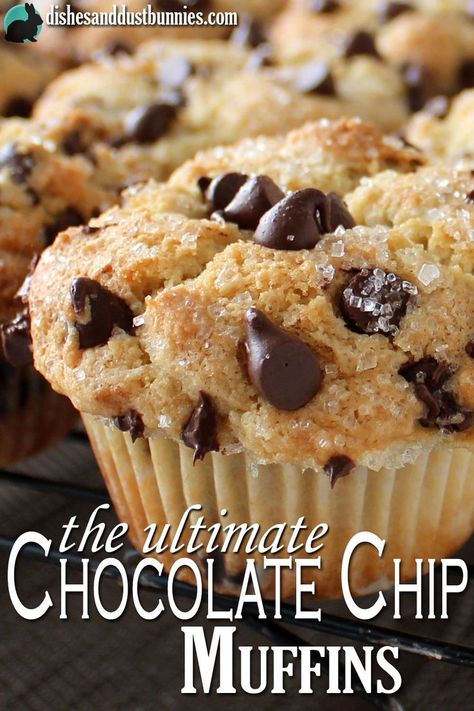 The Ultimate Chocolate Chip Muffins recipe from dishesanddustbunnies.com Fluffy Chocolate Chip Muffins, Chocolate Chip Muffin Recipe, Muffin Tops, Dust Bunnies, Chocolate Chip Muffins, Sweet Chocolate, Delicious Chocolate, Breakfast Casserole, Sweets Treats