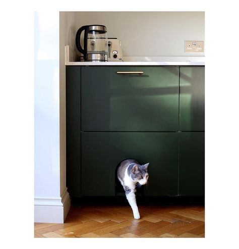 Clara Molden on Instagram: "Presenting the kitchen extension cat flap of dreams, and other clever kitchen renovation ideas (on a budget) by @katebussmann. Shot for this weekend’s Daily Telegraph, and up online now too. #kitchenrenovation #renovationonabudget #katebussmann #catflap" Catflap Ideas, Cat Flap Ideas, Cat Flap, Small Modern Home, Kitchen Units, Kitchen Extension, Filing Cabinet, Kitchen Renovation, Locker Storage